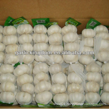 super white garlic 4P from fty 5.5cm